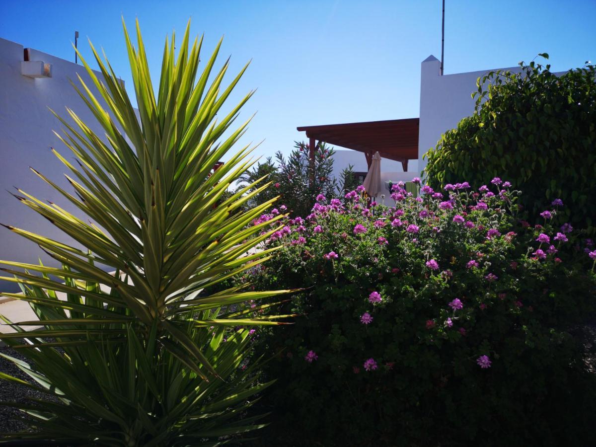 Bungalow Tranquillo E Soleggiato Caleta De Fuste Exterior photo